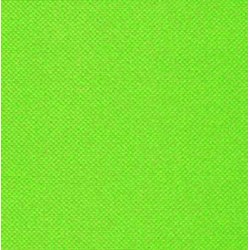 Serviette en Papier Unie Vert Pomme