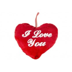 Peluche Coeur " Y Love You" 13cm