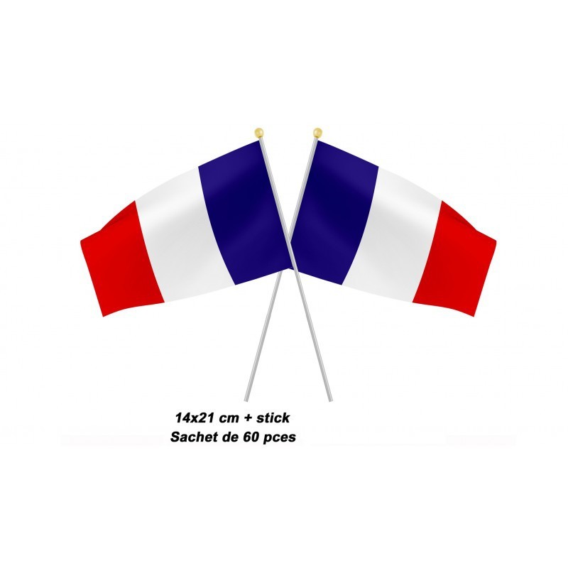 Petit Drapeau France 14x21cm - Coti Jouets, spécialiste