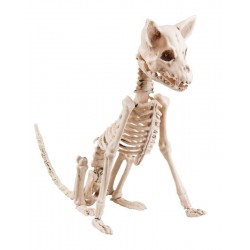 Squelette de Corbeau Phosphorescent