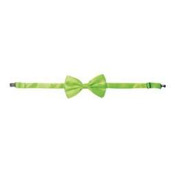 Noeud Papillon Satin Vert Fluo