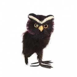 Hibou Noir