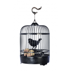 Cage à Oiseau Halloween Animée