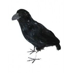 Décoration Corbeau Noir
