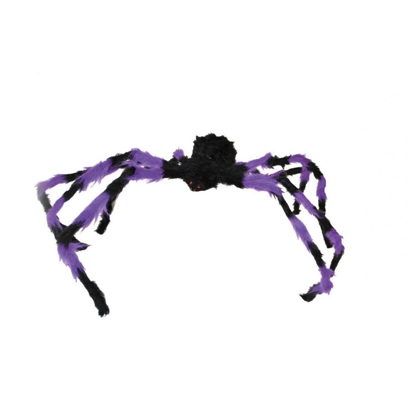Araignée Géante Bicolore Violet