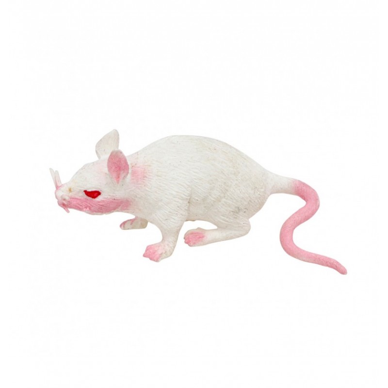 Rat Blanc Stretch 16,5cm