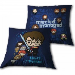 Coussin Harry Potter
