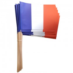 Drapeau France 14 x 21cm...