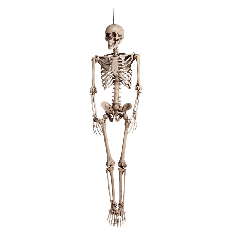Squelette à Suspendre 160cm