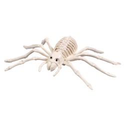 Squelette d'araignée 23cm