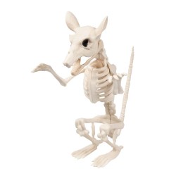 Squelette De Rat Debout 18cm