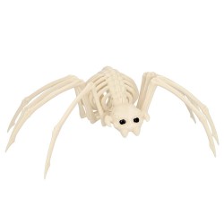 Squelette D'Araignée 35cm