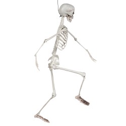 Squelette A Suspendre 90cm