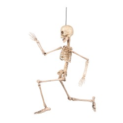 Squelette A Suspendre Articulé 50cm