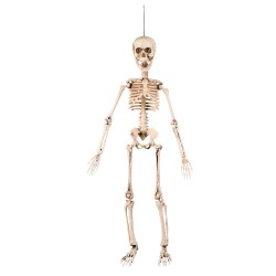 Squelette A Suspendre...