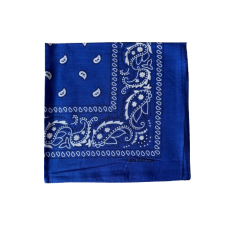 Bandana Style Cachemire Bleu