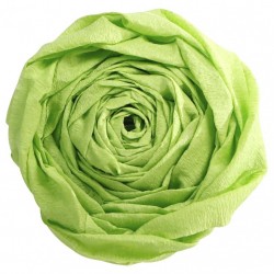 Feuille de Papier Crépon 60% Vert Pomme