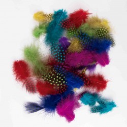 Sachet De Plumes Décoratives 30 Pièces