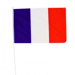 Drapeau France 30 x 45cm...