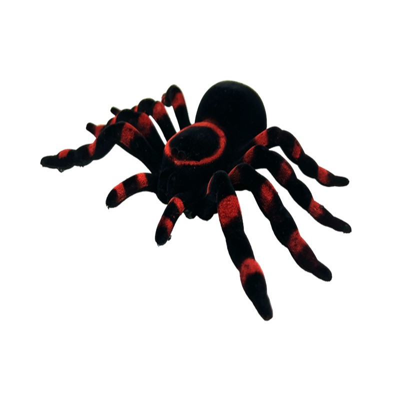 Araignée Floquée Velours 20x14cm