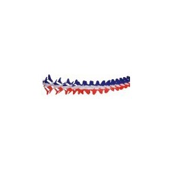 Guirlande Libellule Tricolore 3 Mètres