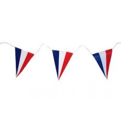 7 m Drapeau France 25 Pièces Français Bunting Bannière Fanions Drapeaux  Rectangulaires Français Guirlande Décorations de Fête [530] - Cdiscount  Maison