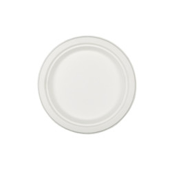 Assiettes Biodégradable En...