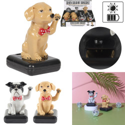 Chien Danseur Solaire