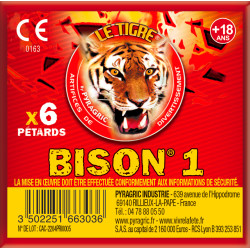 Pétards à Mèche 6 Pièces LE TIGRE® BISON N°1