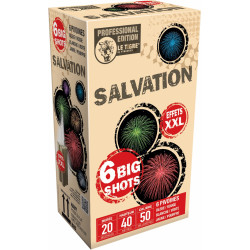 Compact New Salvation 6 Coups 20 Secondes
