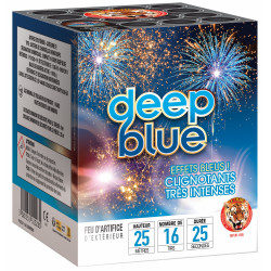 Compact Deep Blue 16 Coups...