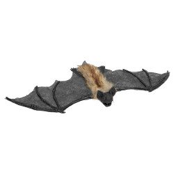 Chauve Souris Velue A Suspendre