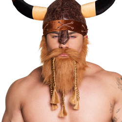Barbe de Vicking avec...