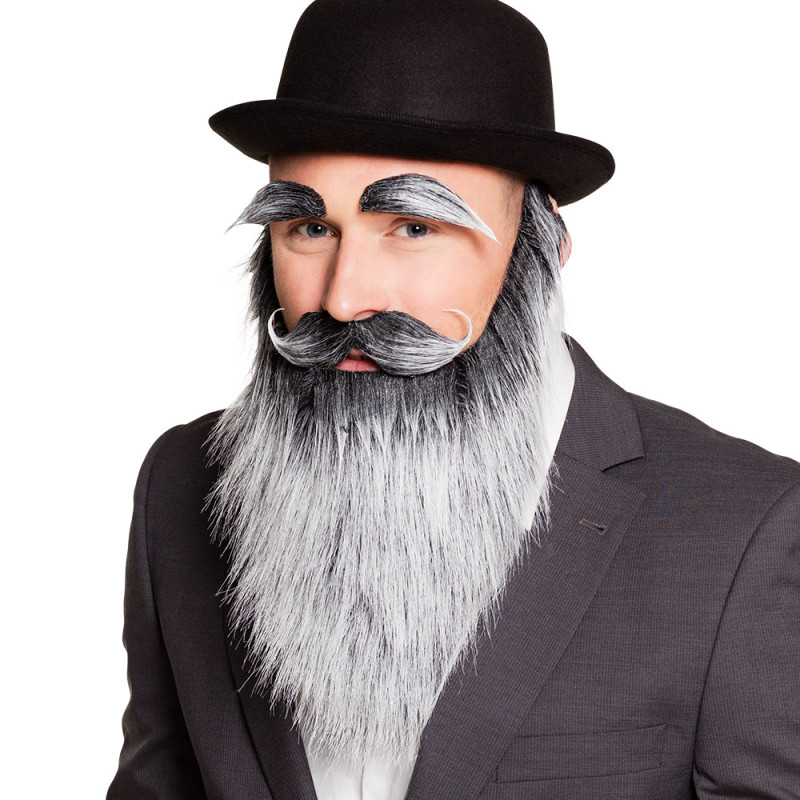 Barbe de Vieil Homme Grise Avec Sourcils et Moustaches