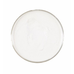 Pot De Maquillage à L'Eau Blanc 25gr