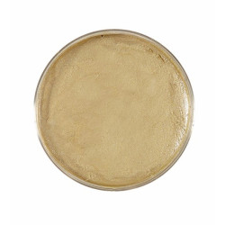 Pot De Maquillage à L'Eau Or 25gr