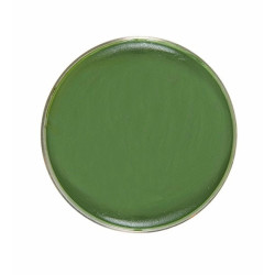 Pot De Maquillage à L'Eau Vert 25gr