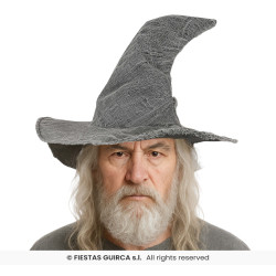 Chapeau de Sorcier Gris