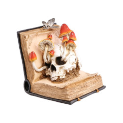 Livre De Sortileges Tête De...