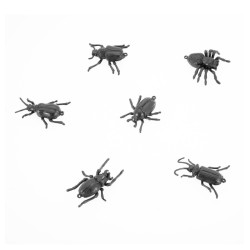 Insecte En Plastique Assortis 6 Pièces