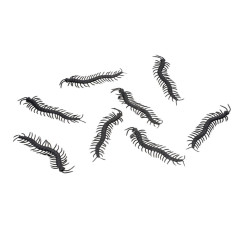 Décoration Halloween Mille Pattes Noire En Plastique 8 Pièces