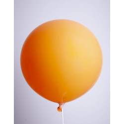 Ballon de Baudruche 10...