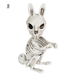 Squelette De Lapin 16cm
