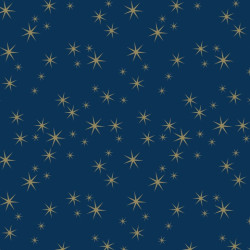 Papier Cadeau 50 Mètres Bleu Nuit Etoiles 60 Grammes