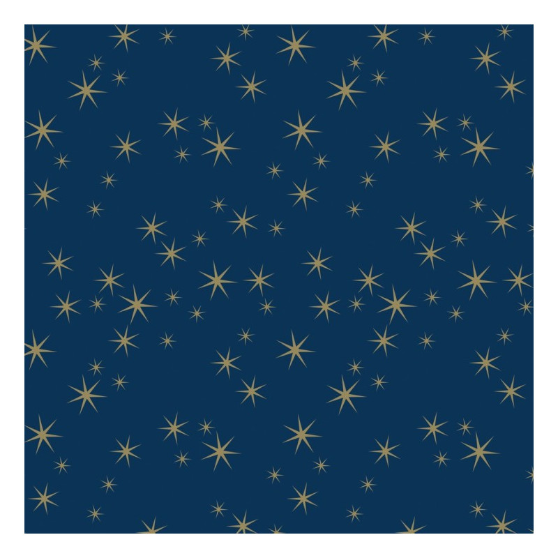 Papier Cadeau 50 Mètres Bleu Nuit Etoiles 60 Grammes Papier Cadeau 50 Mètres Bleu Nuit Etoiles 60 Grammes