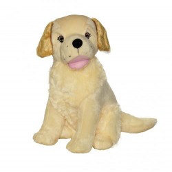 Peluche Chien Golden