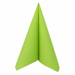 Serviette en Papier Voie...