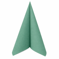 Serviette en Papier Voie...