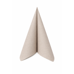 Serviette en Papier Voie...