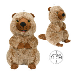 Peluche Castor Assis 24cm